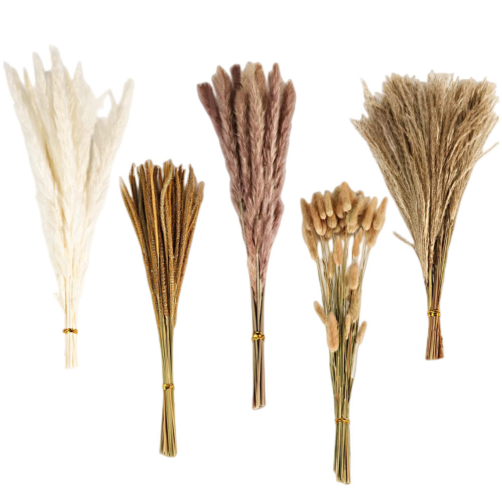Pampas Grass Decor - Buket Bunga Kering Campuran Vintage Musim