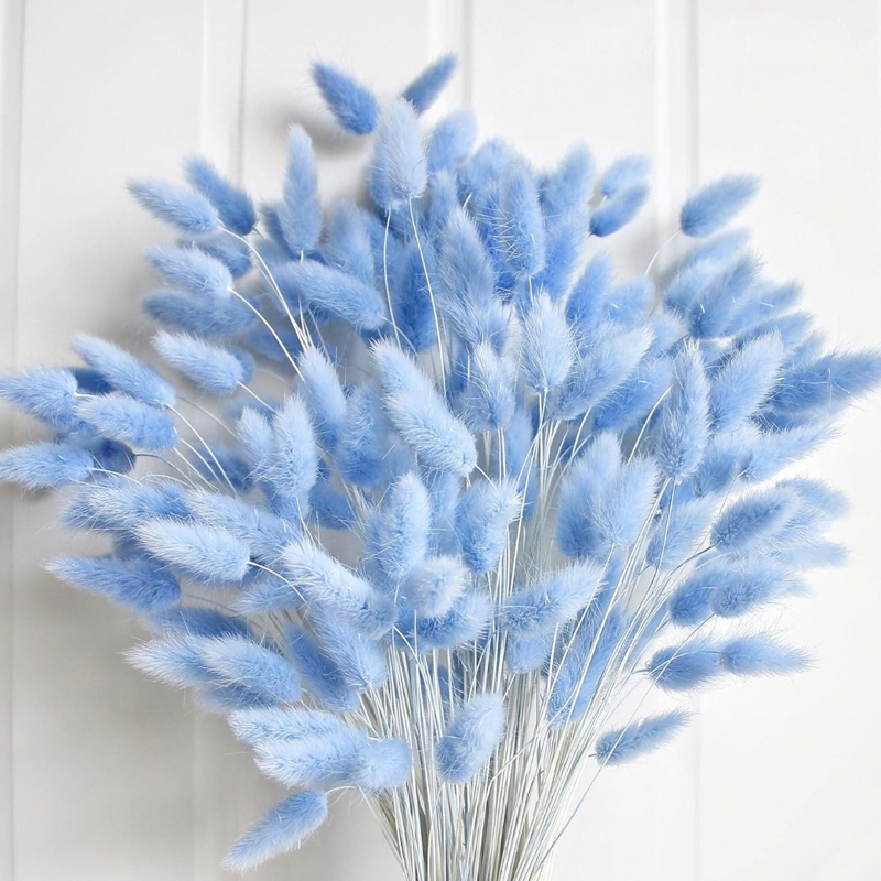 Pampas Grass Decor - 100 Buah Ekor Kelinci Biru Rumput
