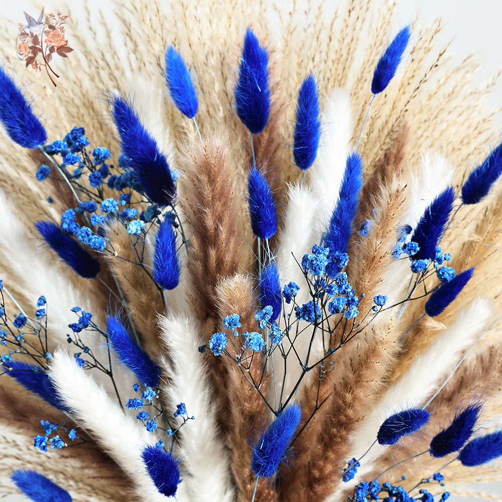 70 Batang Biru Berbulu Ekor Ke - Pampas Grass Decor ulasan dan harga