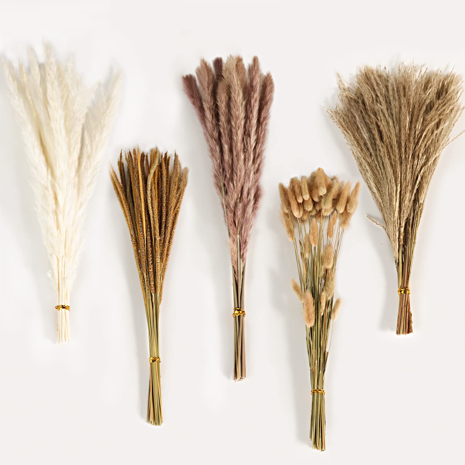 Buket Bunga Kering Campuran Vi - Pampas Grass Decor ulasan dan harga