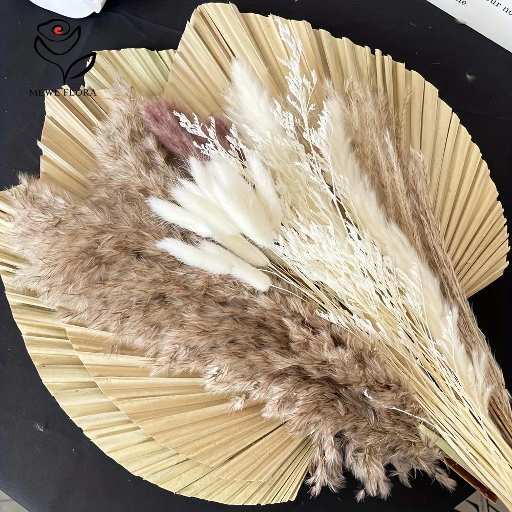 35 buah rumput Pampas alami Bo - Pampas Grass Decor ulasan dan harga