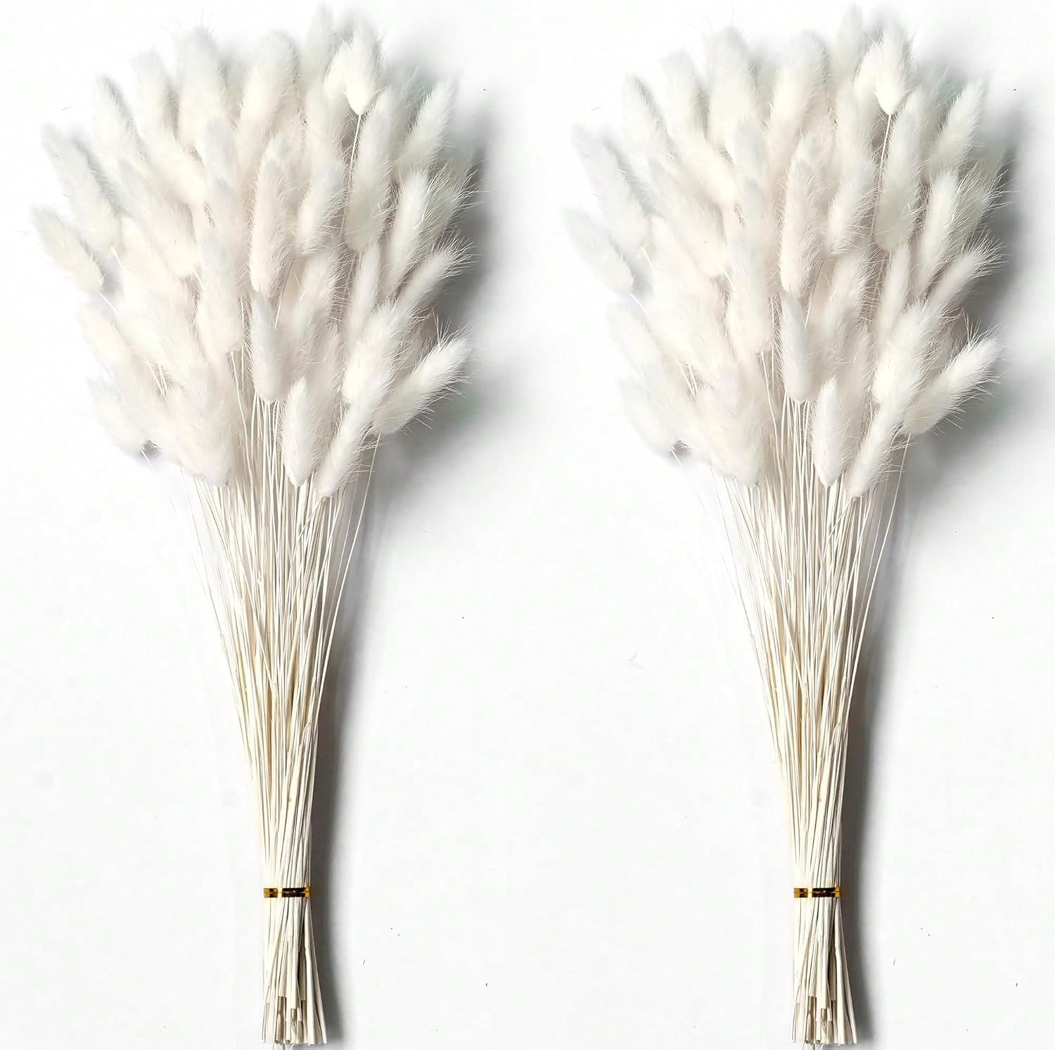 120 Buah Dekorasi Rumput Pampa - Pampas Grass Decor ulasan dan harga