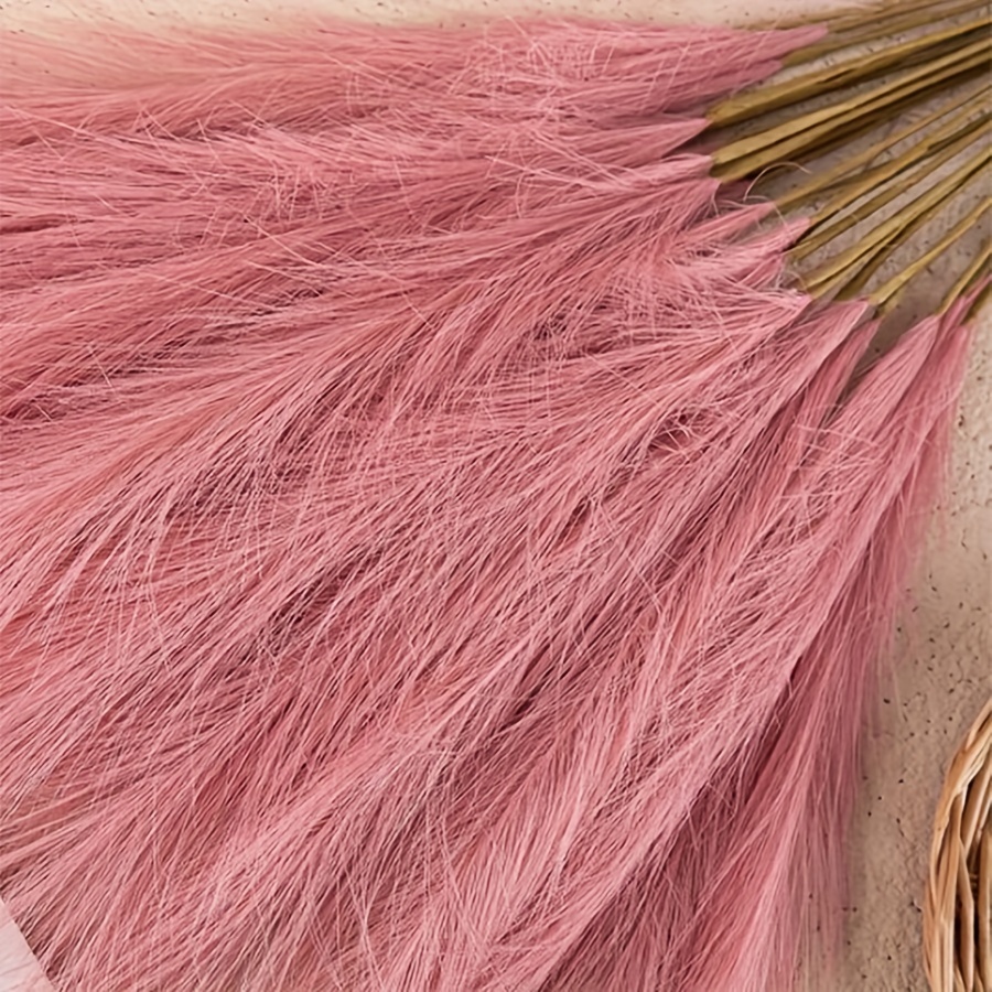 10 BH simulasi rumput Pampas b - Pampas Grass Decor ulasan dan harga