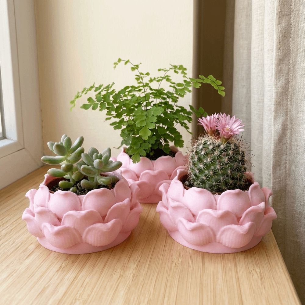 Pot Tanaman Sukulen Bentuk Ter - Rattan Plant Basket ulasan dan harga