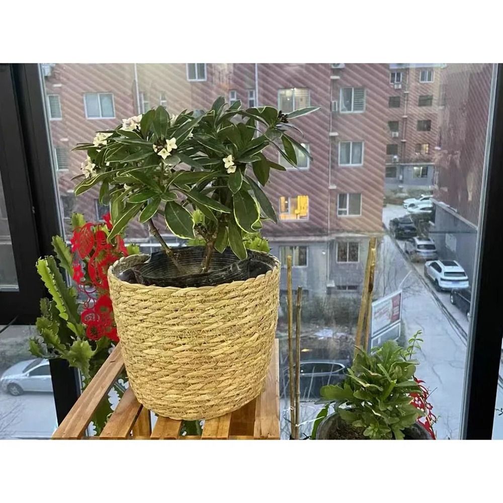 1 Buah Keranjang Pot Bunga Unt - Rattan Plant Basket ulasan dan harga