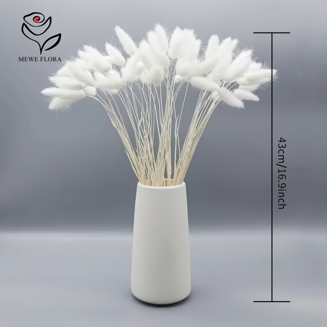 150PCS Ekor Kelinci Alami Puti - Pampas Grass Decor ulasan dan harga